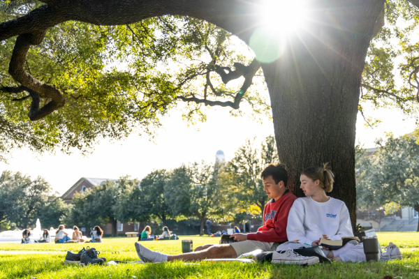 Students at SMU sit on together under a tree on campus, studying and socializing